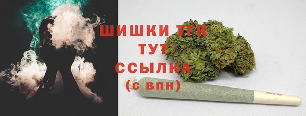Альфа ПВП Осинники