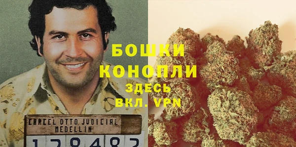 Альфа ПВП Осинники