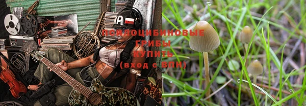 прущий лед Пересвет