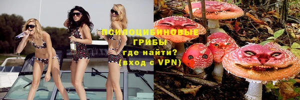 метамфетамин Осташков