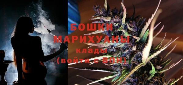 Альфа ПВП Осинники