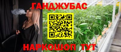 крисы Гатчина
