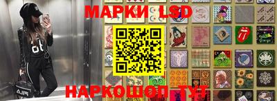 крисы Гатчина