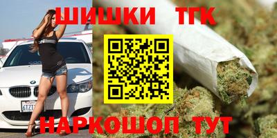 крисы Гатчина