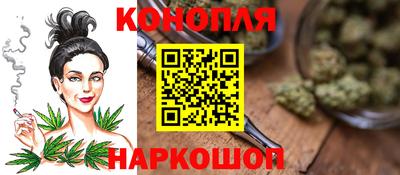 крисы Гатчина