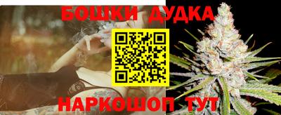 крисы Гатчина