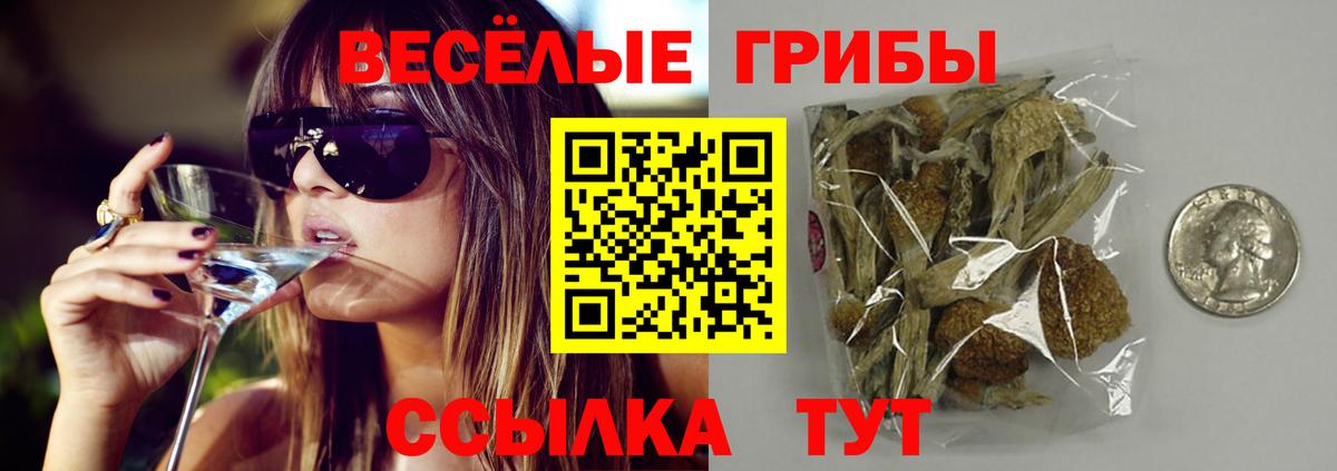 Галлюциногенные грибы Psilocybe  Псилоцибиновые грибы GOLDEN TEACHER  Лосино-Петровский  Вход с VPN 
